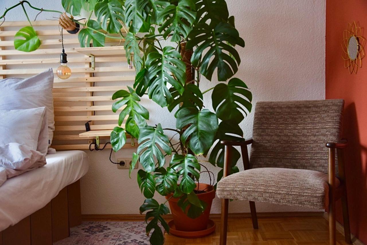Greenbnbs: Cozy Urban Jungle In The City Centre Essen Extérieur photo