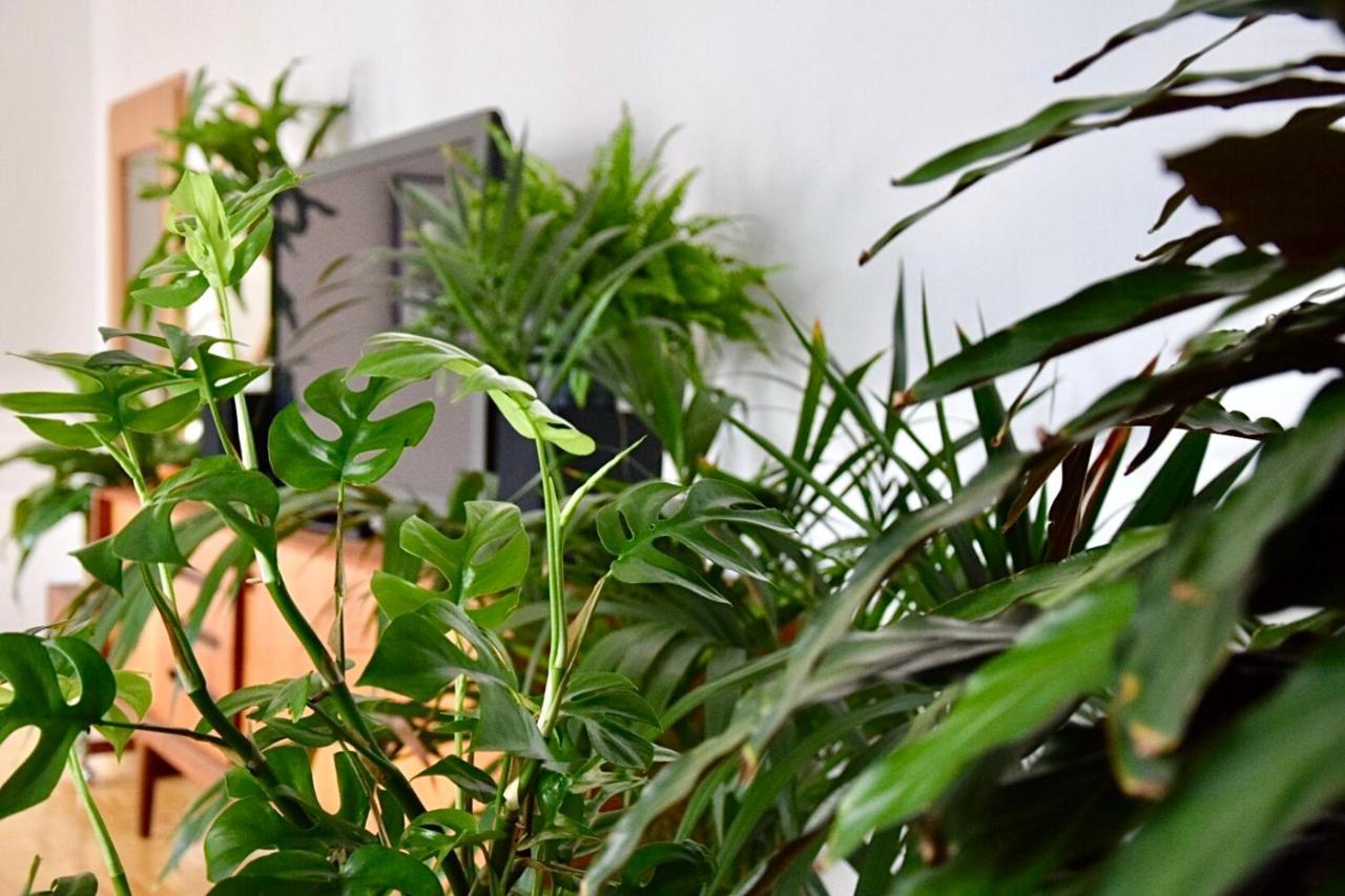 Greenbnbs: Cozy Urban Jungle In The City Centre Essen Extérieur photo