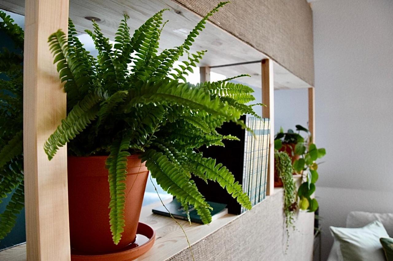 Greenbnbs: Cozy Urban Jungle In The City Centre Essen Extérieur photo